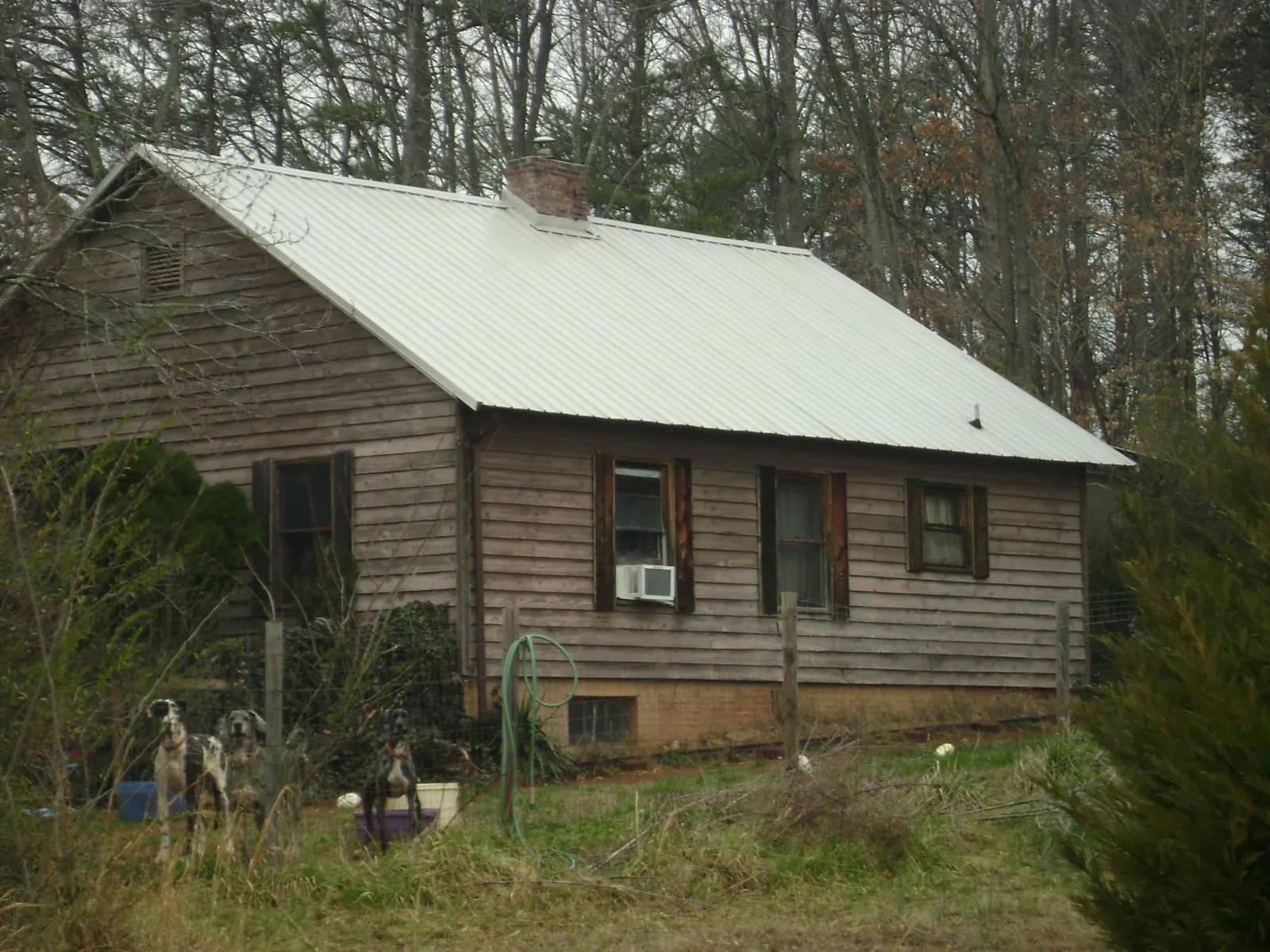 White metal roof on an old wood sided farmhouse, from a Asphalt Shingle Roof Repair job in Chesterville